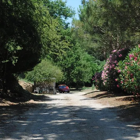 Chez Yvette , C'est Chouette!! * Carcassonne