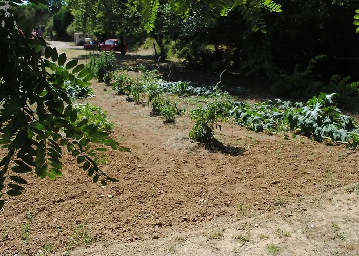 Couette-café Chez Yvette , C'est Chouette!! Carcassonne