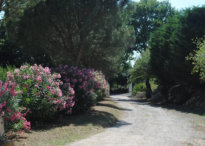 Chez Yvette , C'est Chouette!! Couette-café *