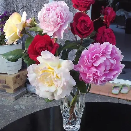 Alojamento de Acomodação e Pequeno-almoço Chez Yvette , C'est Chouette!! Carcassonne