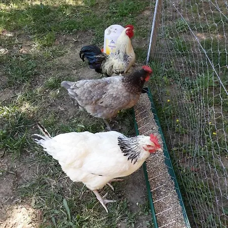 Chez Yvette , C'est Chouette!!