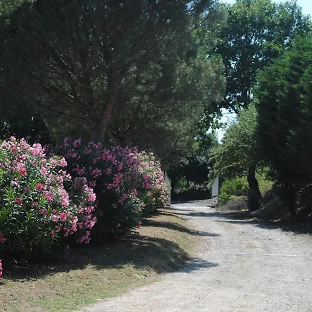 Chez Yvette , C'est Chouette!! Alojamento de Acomodação e Pequeno-almoço *
