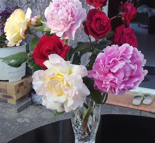 Bed & Breakfast Chez Yvette , C'est Chouette!! Carcassonne