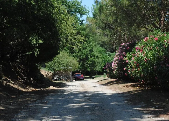 Chez Yvette , C'est Chouette!! * Carcassonne