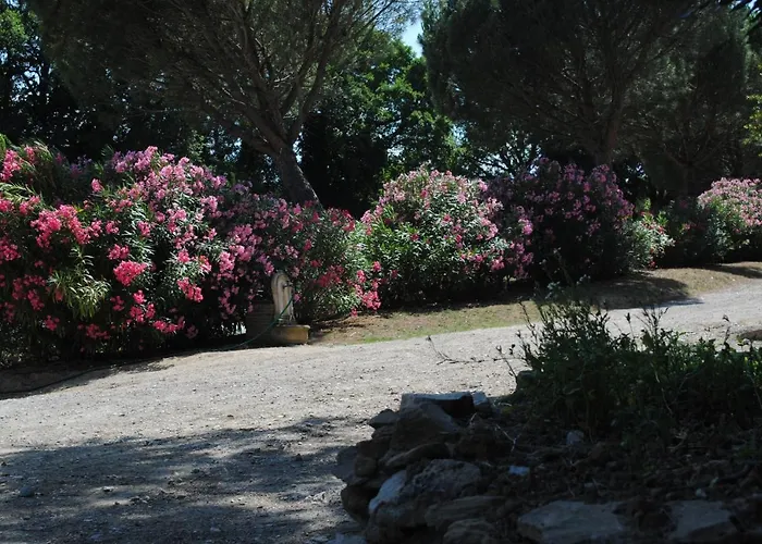 Chez Yvette , C'est Chouette!! Bed & Breakfast Carcassonne